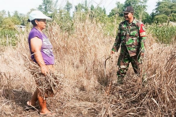 615432555 1732472157716844 2740351151080428220 n