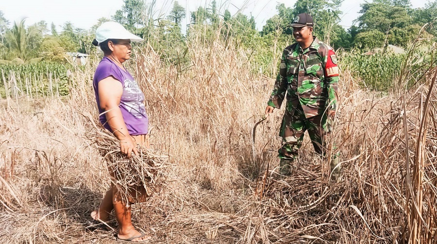 615432555 1732472157716844 2740351151080428220 n