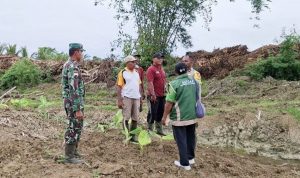 20 Hektar Lahan Siap Cetak Sawah, Babinsa dan DPR Pastikan Akses Jalan