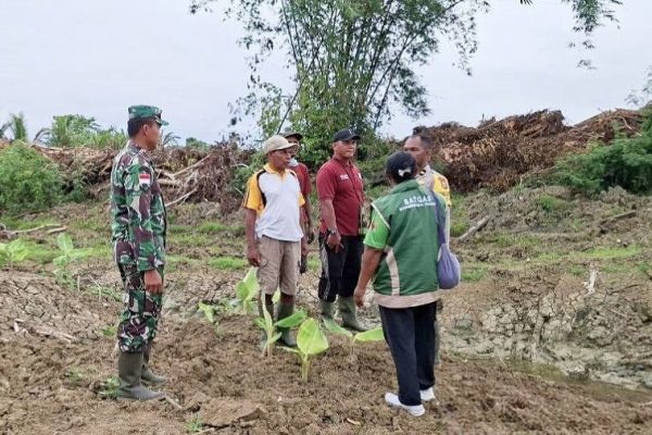 616026527 1726312501666143 6394552741741489963 n