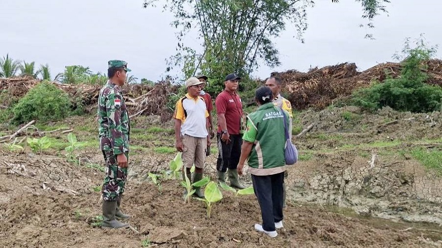 616026527 1726312501666143 6394552741741489963 n