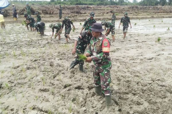 617406374 1735553390742054 3099279554308712505 n