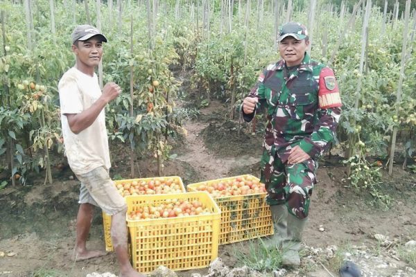 617839710 1730023671295026 8827973974488526700 n