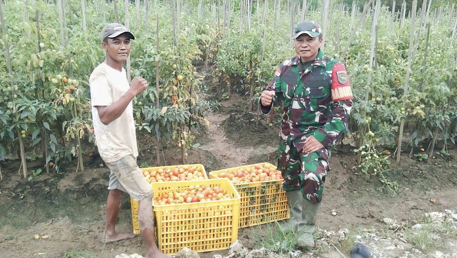 617839710 1730023671295026 8827973974488526700 n