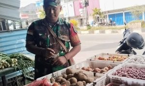 Antisipasi Lonjakan Harga, Babinsa Pantau Harga Sembako di Pasaran