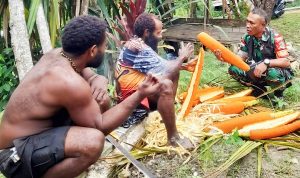 Dukung Komoditas Unggulan Papua, Babinsa Komsos dengan Petani Buah Merah