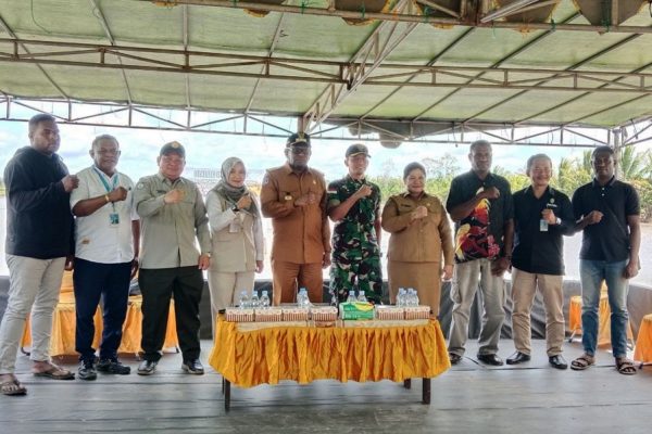 90a5236a d266 4e10 8c02 2268c20b6de8