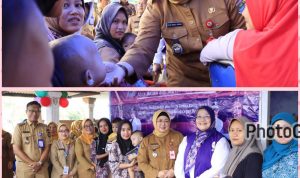 Wabup Intan Monitoring Pelaksanaan Gerebek Posyandu Desa Daon Rajeg