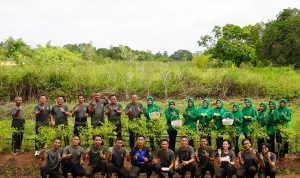 Dari Lahan Tidur Jadi Lahan Produktif, Danrem 174/ATW Panen Cabai Bersama Prajurit dan Persit