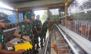 Pangdam XXIV/Mandala Trikora Dorong Prajurit Mandiri Pangan: Yonif TP 817/Aoba Jadi Contoh Ketahanan Pangan di Perbatasan