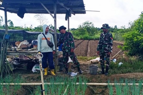 624570252 1741390156825044 1754473875279708629 n