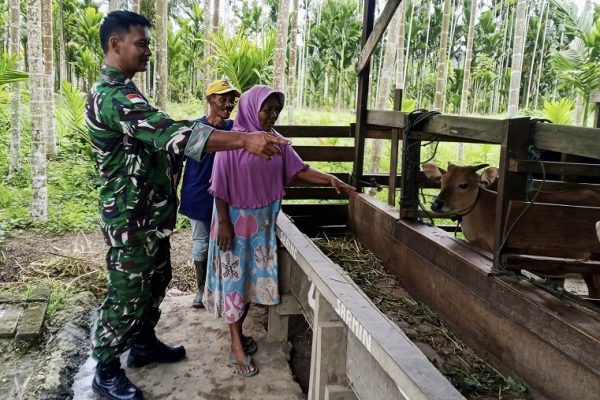 629949603 1750080862622640 2930871483131029756 n