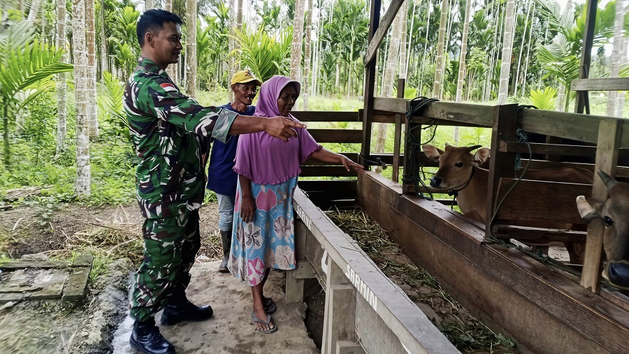 629949603 1750080862622640 2930871483131029756 n