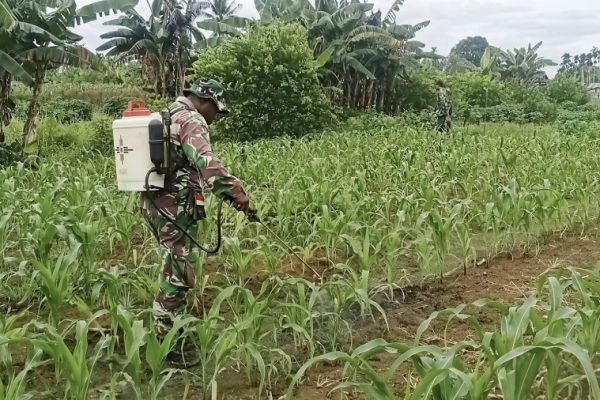 631289625 1750913882539338 5276943243757973659 n