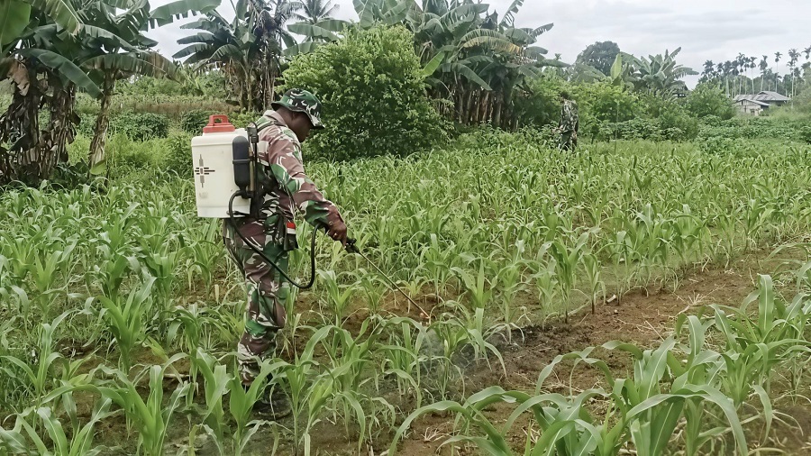 631289625 1750913882539338 5276943243757973659 n