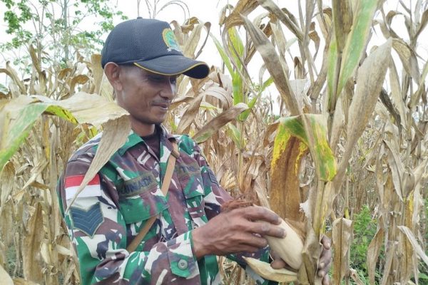 631481509 1750787175885342 1745094688960013327 n