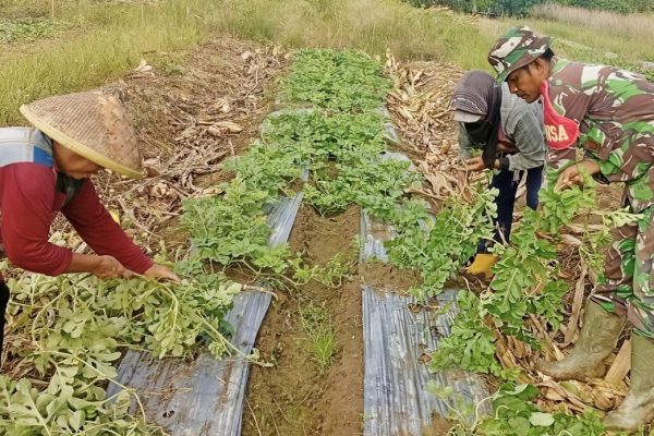 634178273 1752701329027260 8759294017430218820 n