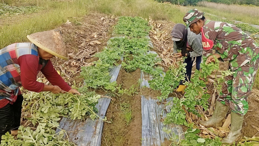 634178273 1752701329027260 8759294017430218820 n