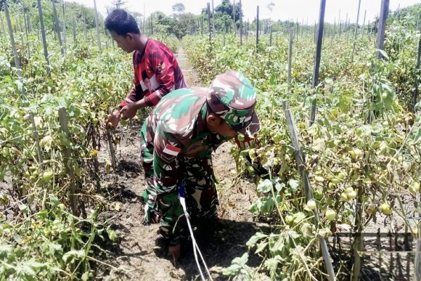 636946547 1759356288361764 5695978848965800869 n