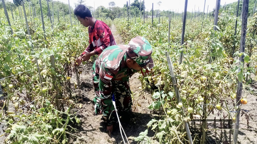 636946547 1759356288361764 5695978848965800869 n