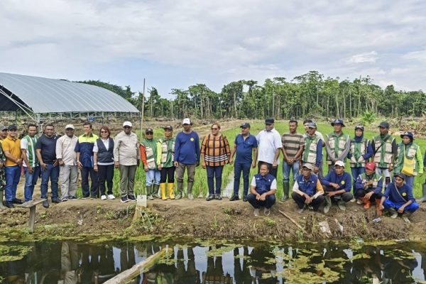 641515627 1758590115105048 4126897961000699360 n