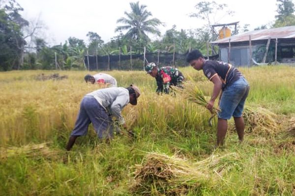 Whatsapp image 2026 02 11 at 14.27.41