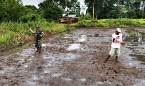 Babinsa Sigabel Jaya Turun ke Sawah, Wujud Nyata TNI Dukung Ketahanan Pangan di Perbatasan