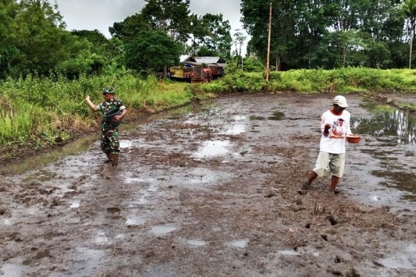 Whatsapp image 2026 02 25 at 11.25.21 (1)