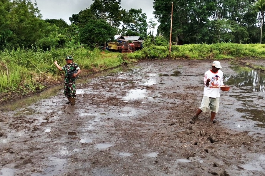 Whatsapp image 2026 02 25 at 11.25.21 (1)