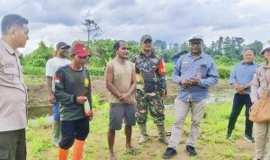 Babinsa Skanto Dampingi BRMP Papua Tinjau Kesiapan Cetak Sawah Rakyat