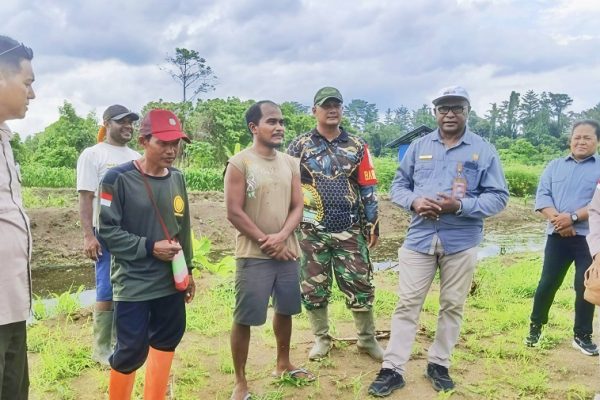 642752456 1766683470962379 3199244810403399579 n