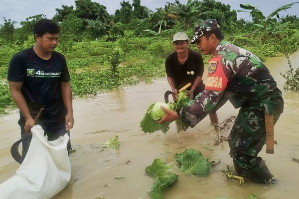 646756962 1770472667250126 3275592116092581295 n