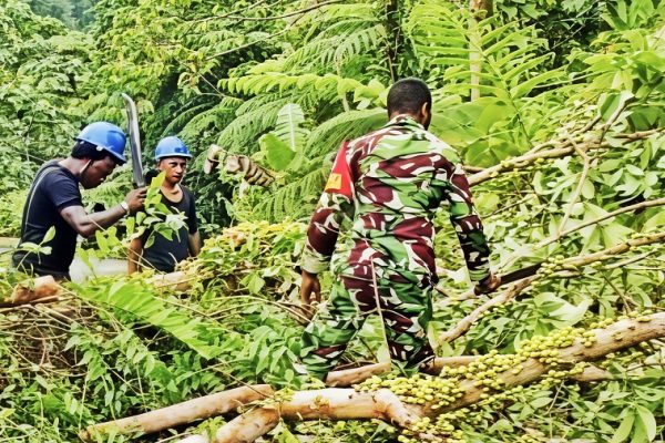 647301646 1768923844071675 1586863147742556932 n