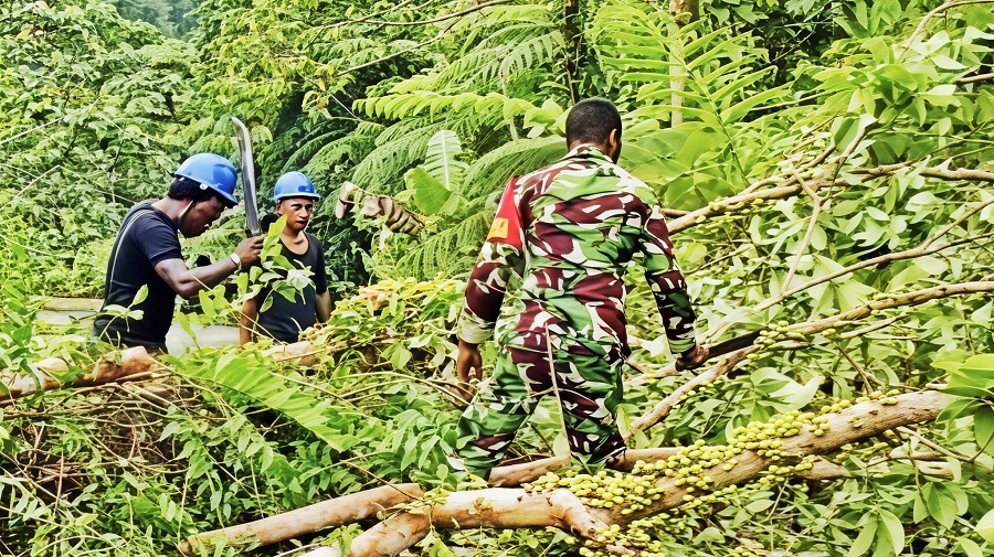 647301646 1768923844071675 1586863147742556932 n