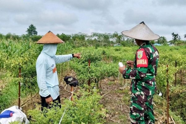 649274790 1770421770588549 9053659147875559441 n