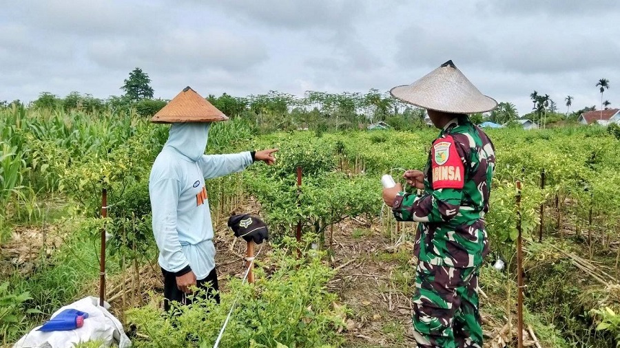 649274790 1770421770588549 9053659147875559441 n