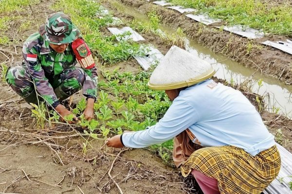 649292101 1771743720456354 8197689943567843110 n