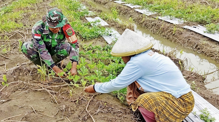 649292101 1771743720456354 8197689943567843110 n