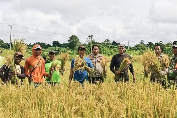 651183565 1775723256725067 4631944588405547124 n