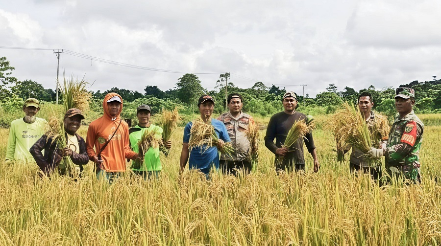 651183565 1775723256725067 4631944588405547124 n