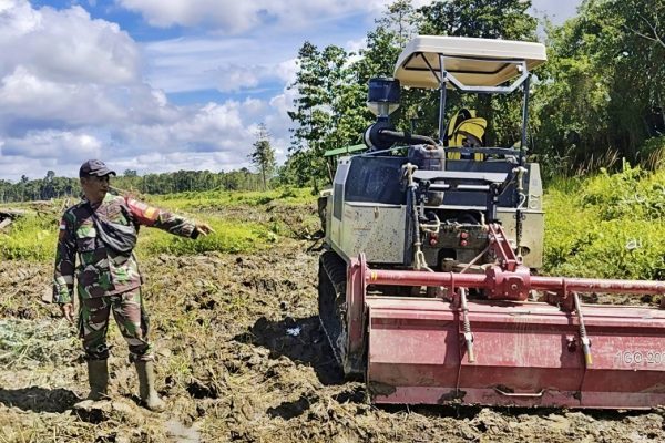 657835190 1783887839241942 7062191839764917775 n