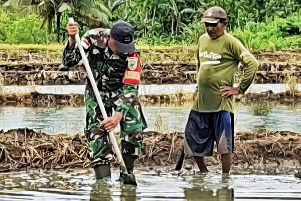 658147751 1782359056061487 3910204879602788184 n