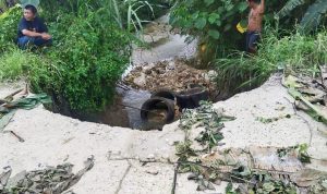Jembatan Longsor Akses Vital Terancam Putus, Babinsa Arso Gerak Cepat Koordinasi Perbaikan