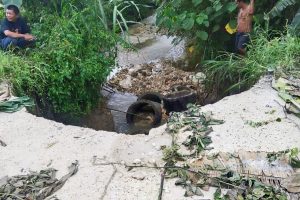 658839556 1788060258824700 6483638988297779096 n