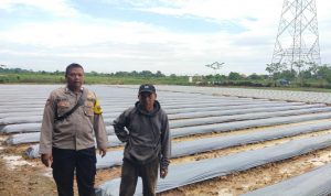 Polsek Cikupa Dukung Program 1 Desa 2 Hektare dengan Penanaman Jagung Hibrida Kwartal I Tahun 2026