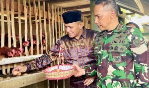 TNI Jadi Garda Terdepan, Momok KKB Papua Mayjen TNI Lucky Avianto Turun Langsung Jadi Peternak Ayam Petelur