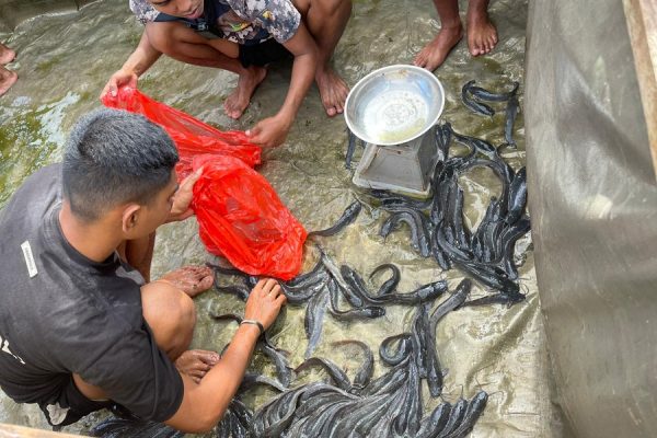 Whatsapp image 2026 03 29 at 09.07.39