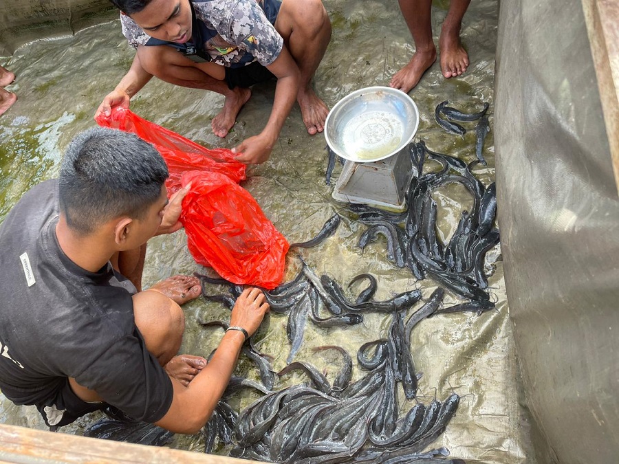 Whatsapp image 2026 03 29 at 09.07.39