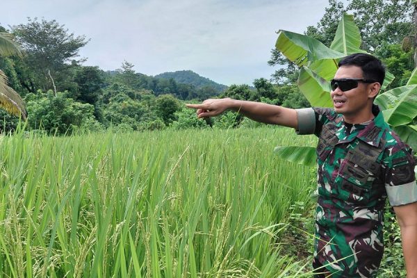 Whatsapp image 2026 03 30 at 10.53.27 (1)