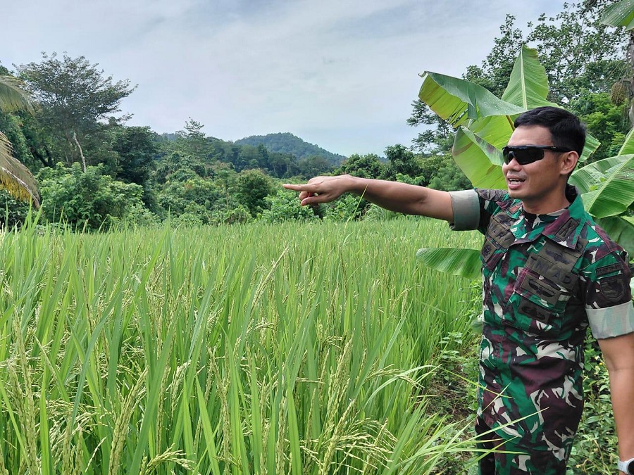 Whatsapp image 2026 03 30 at 10.53.27 (1)